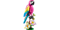LEGO CREATOR Le perroquet exotique rose 2023